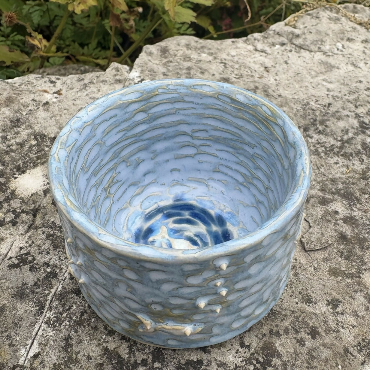 Ocean Bowl with Fish