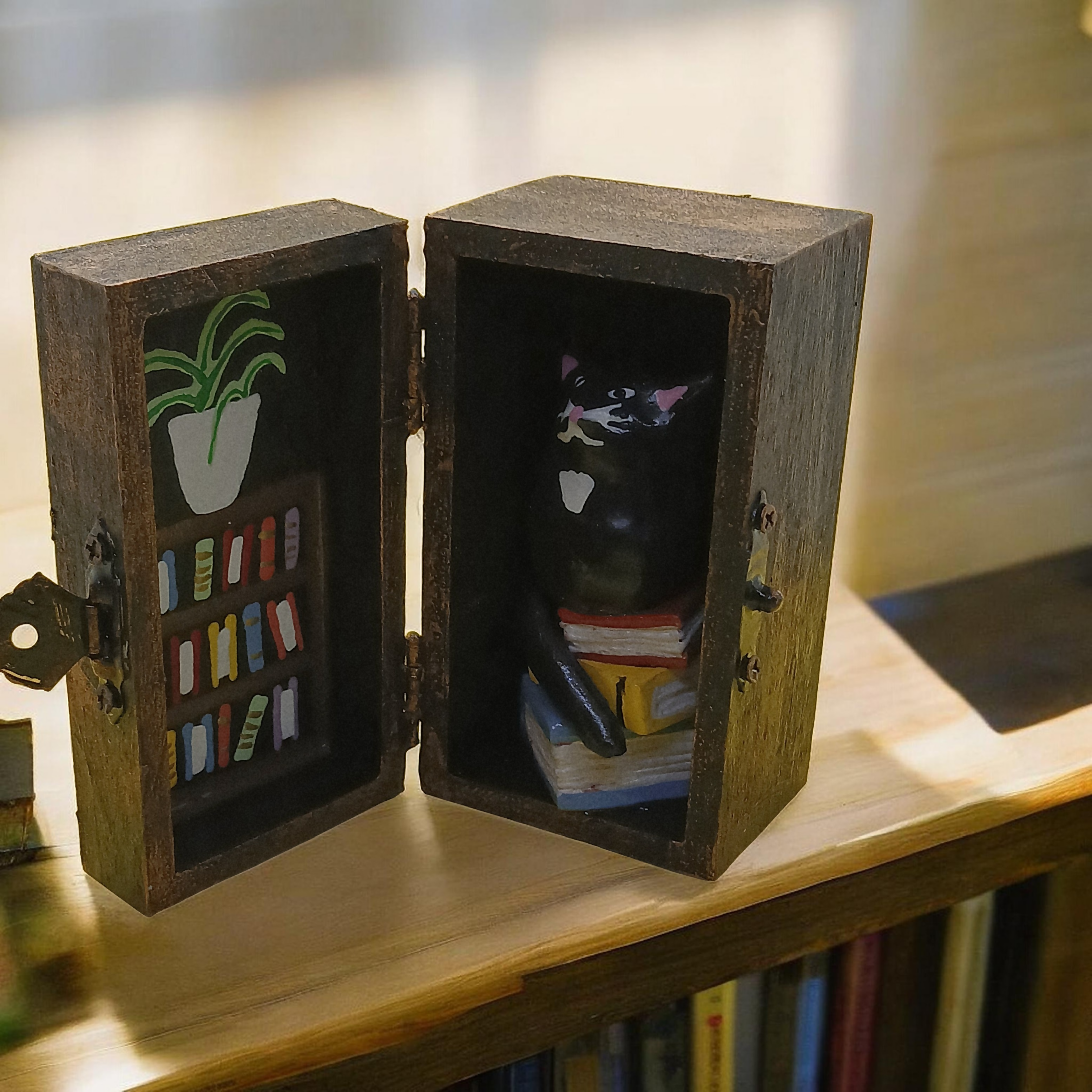 Black Cat in a Box with Bookcase