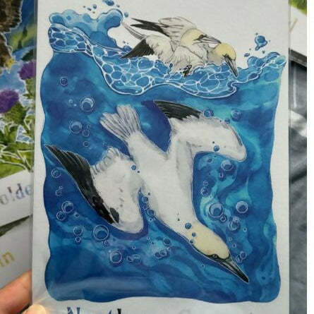 A5 Wild birds Prints