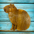 Capybara Hair Clip / Claw