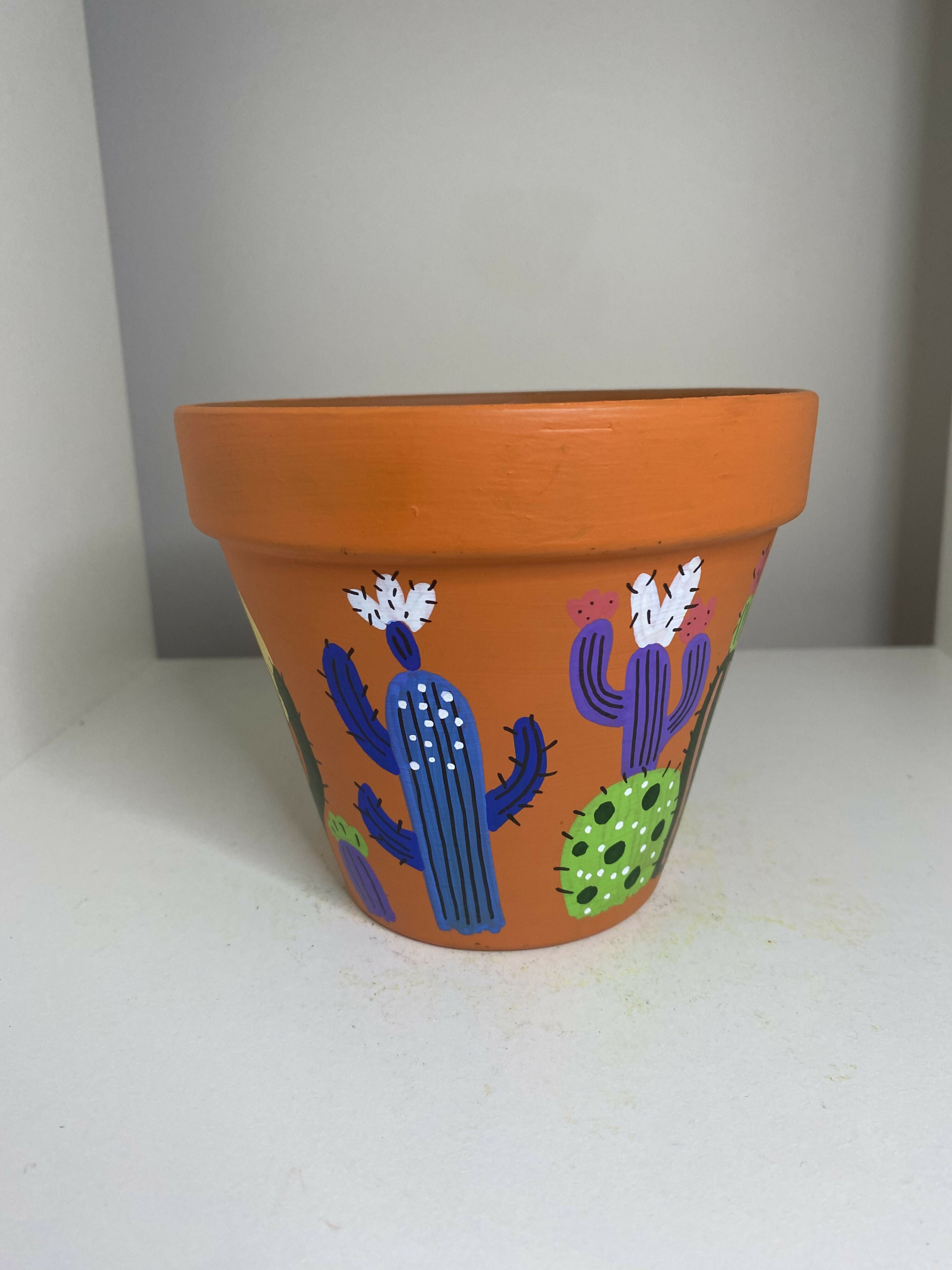 Cactus Pot