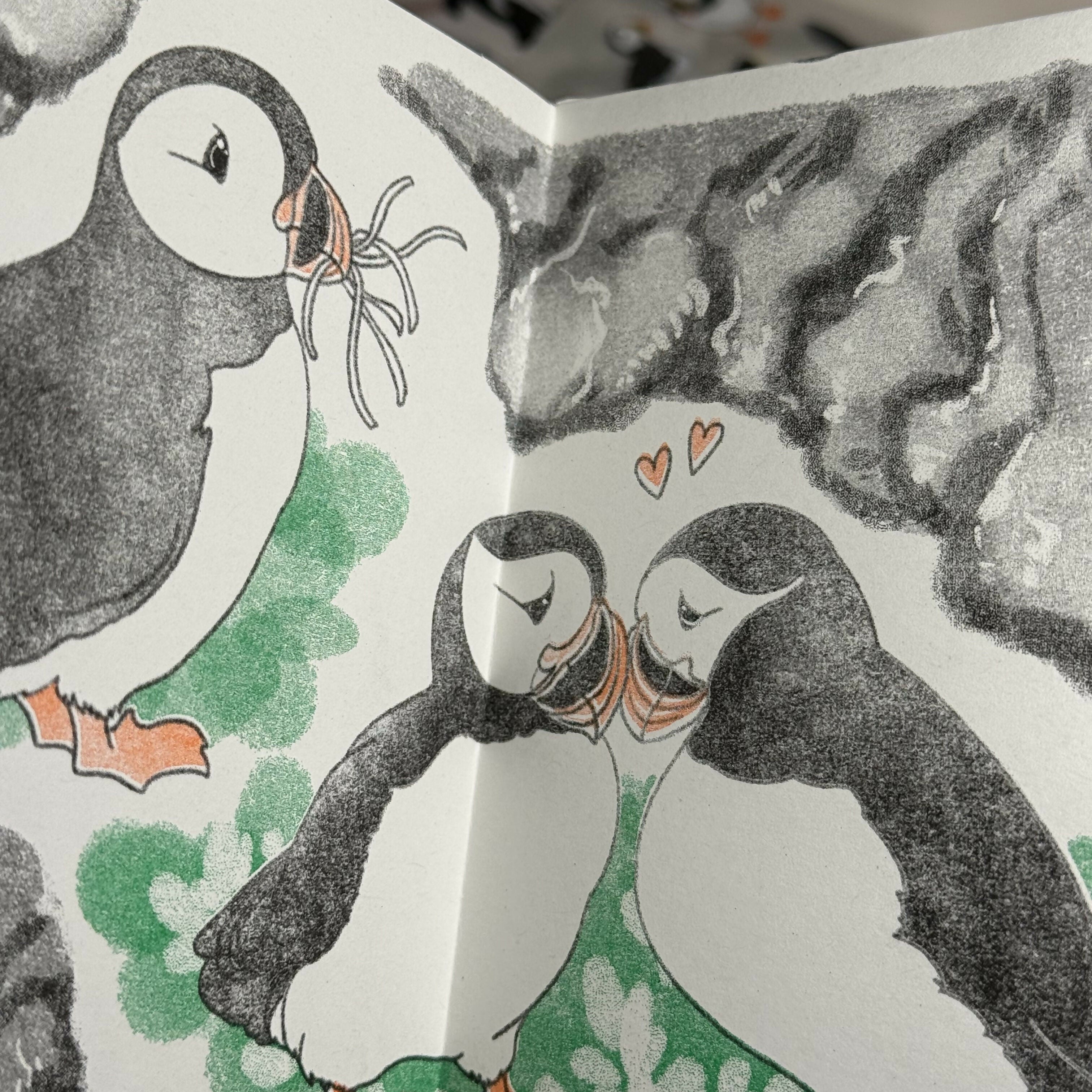 Riso Puffin Zine
