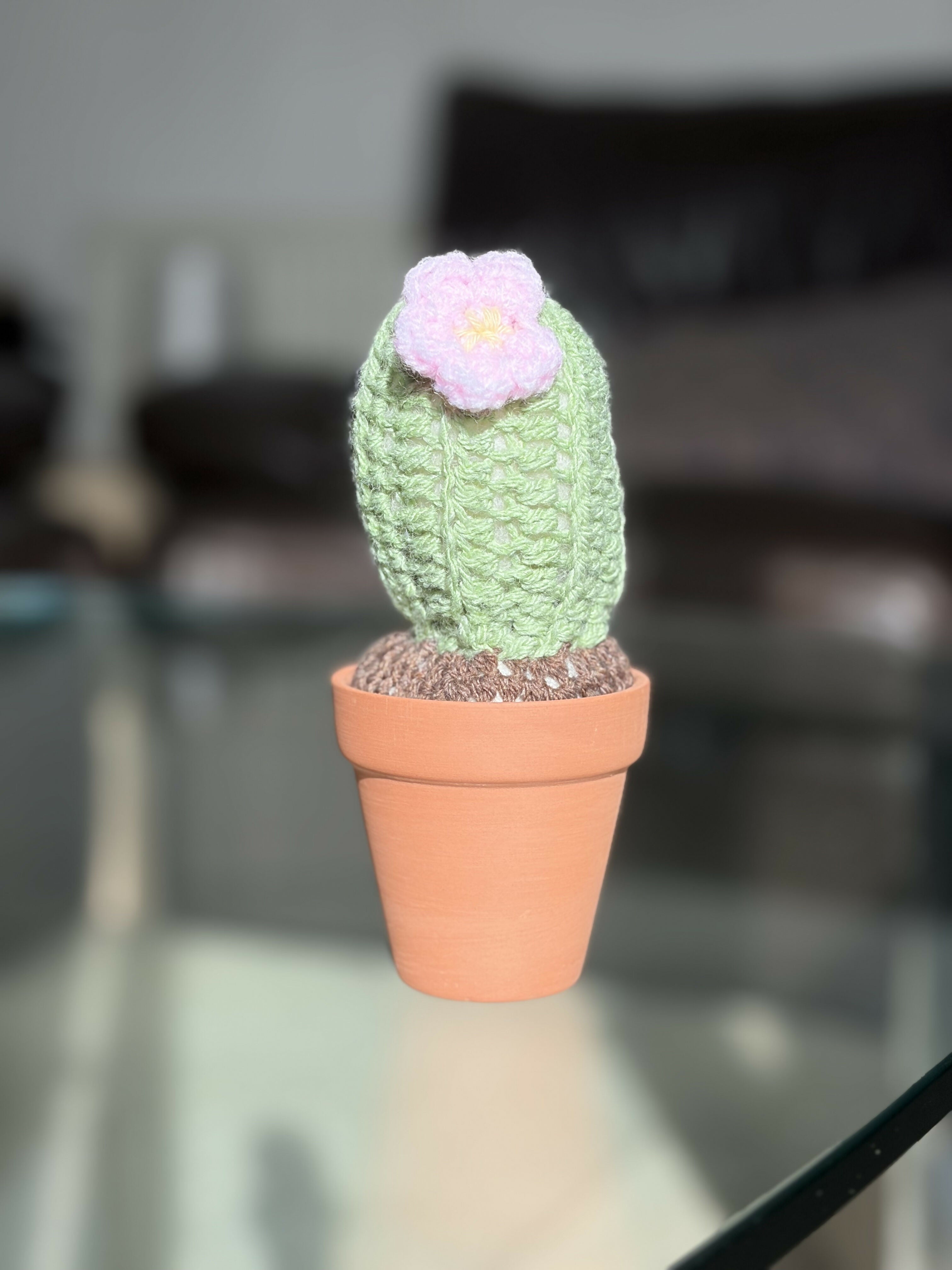 Crochet Potted Cactus