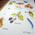 Autumn Treasures Greetings Card