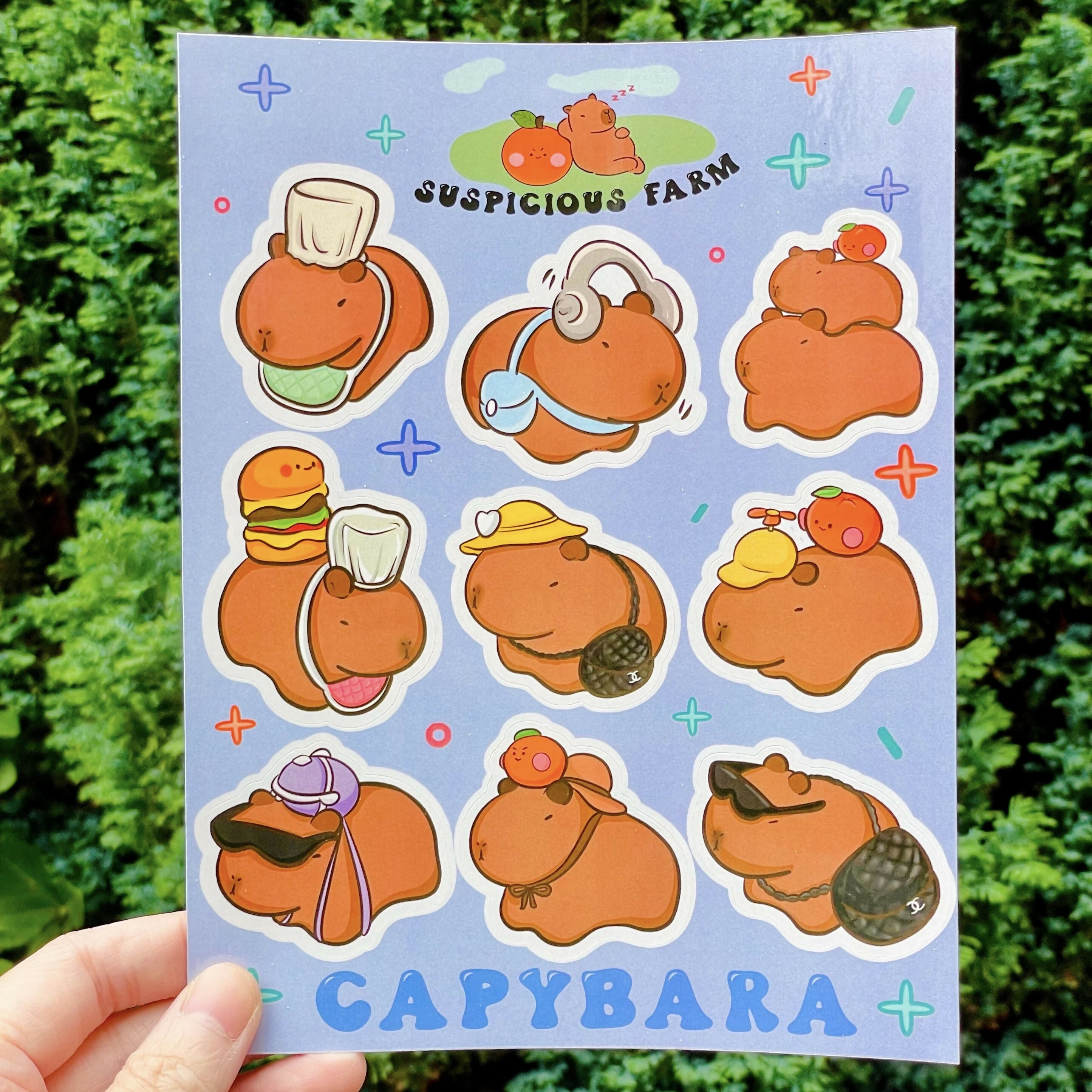 Capybara Sticker Sheet