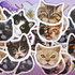 Cute Cat Face Vinyl Stickers