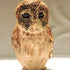 Ceramic Tawny owl sculpture, Robert