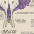 Luna Moth & Lavandula Compendium Tea Towel