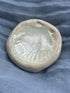 Small Shell Trinket Dish
