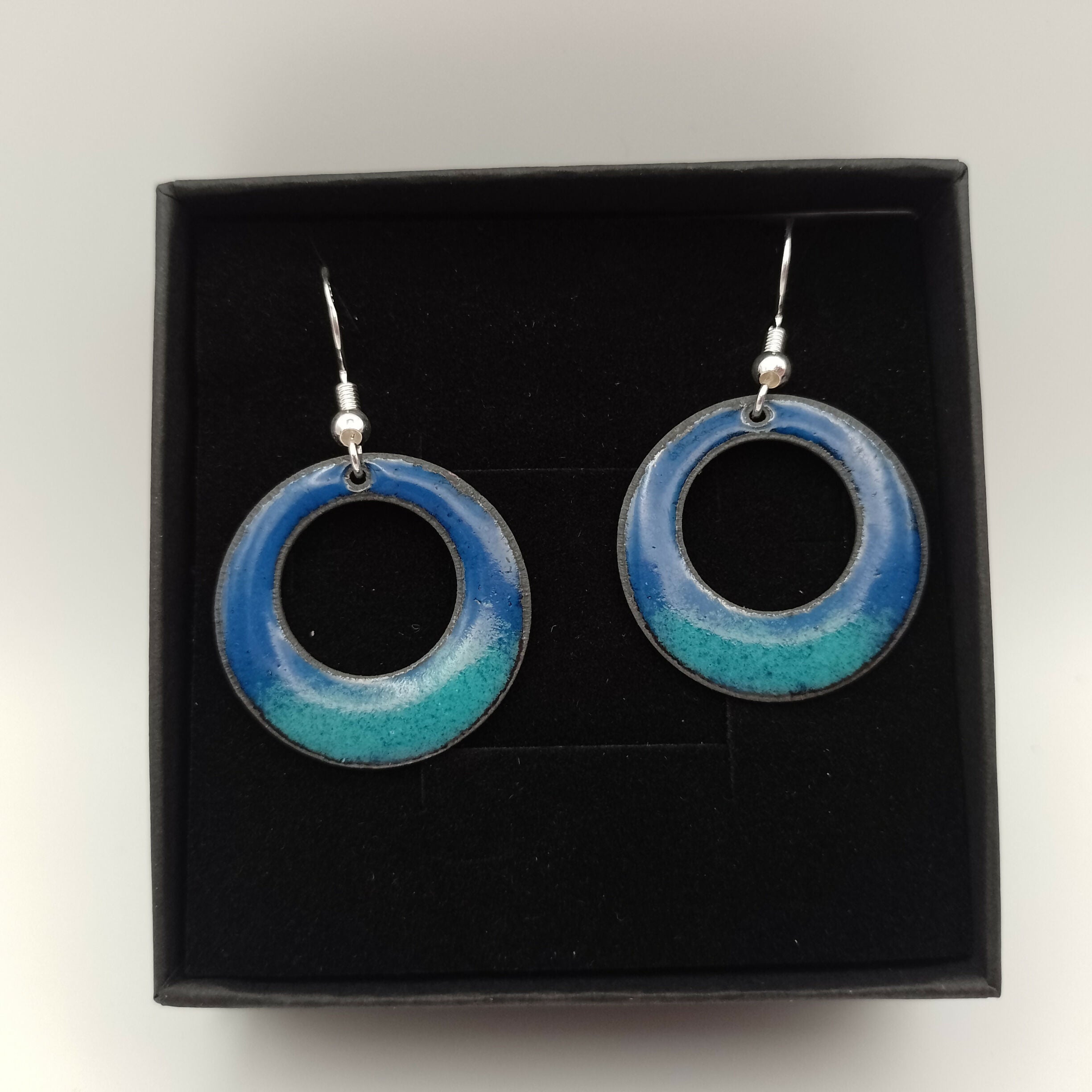 Dark and Pale Blue Enamel Earrings