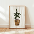 Rubber Plant Print