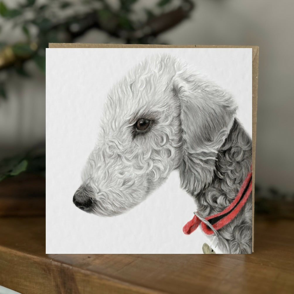 Show Bedlington Terrier Greeting Card – Dog Lover Gift – Handmade Blank Card