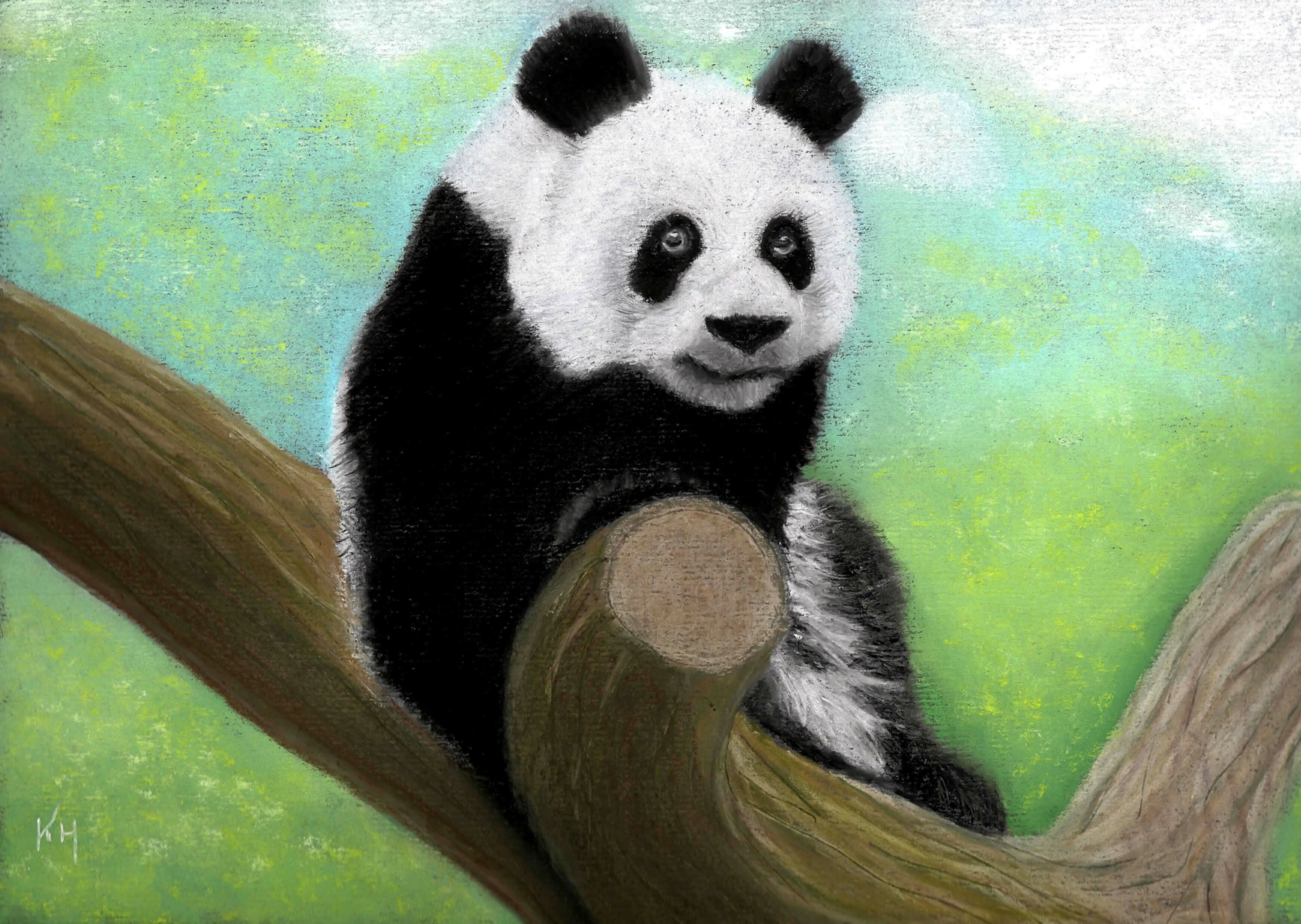 CUTE ANIMAL FRAMED PRINT 7x5in