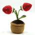 Crochet Strawberry Mini Pot