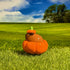 Halloween Capybara in Pumpkin