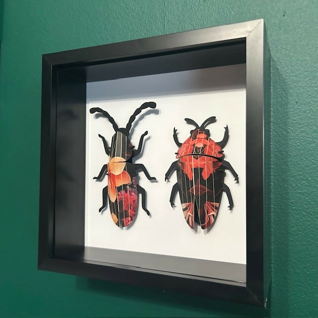 3D Red & Black Floral Paper Beetles In A Deep Black Box Frame