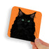 Black Ragdoll Green Eyes Cat Coaster