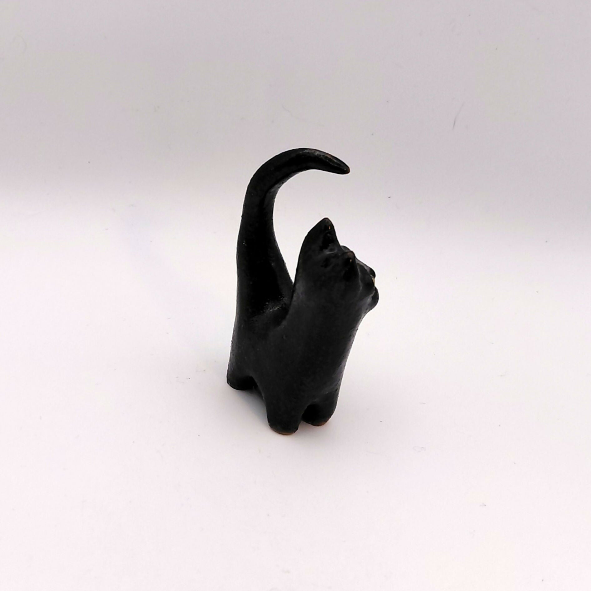 Moonshadow Cat