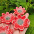 flower magnet 2
