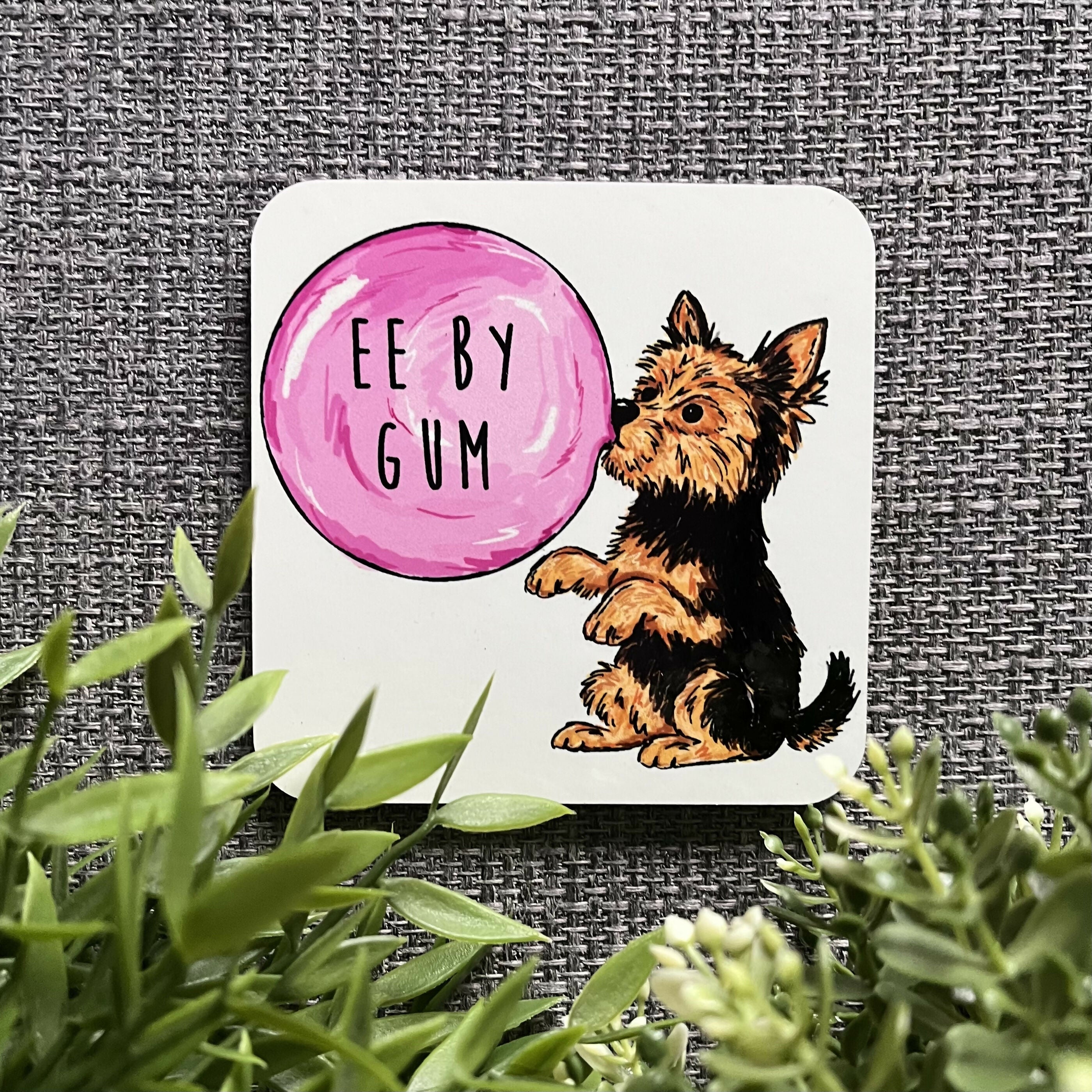 Ee By Gum Yorkshire Terrier Coaster