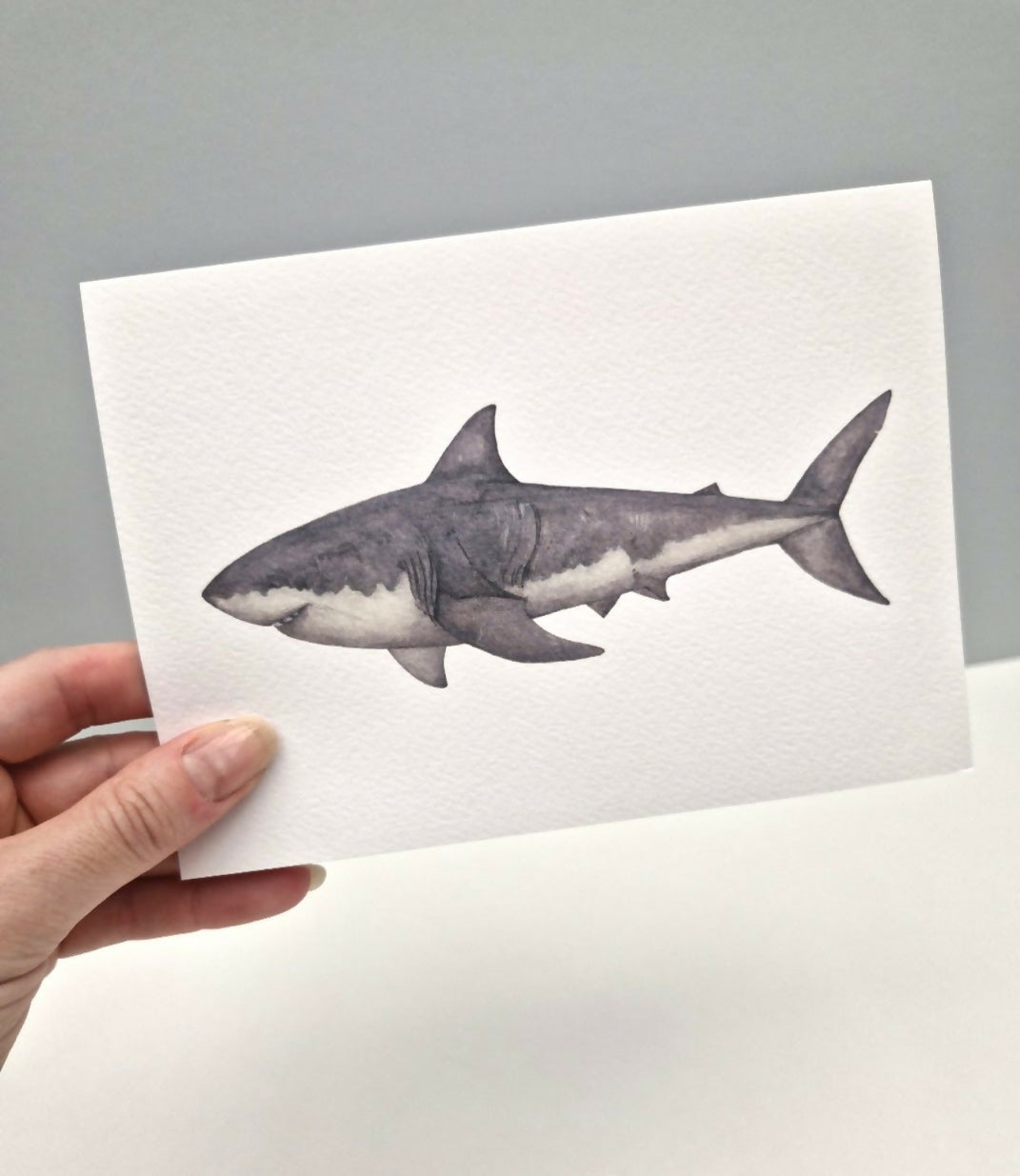 Shark Greeting Card