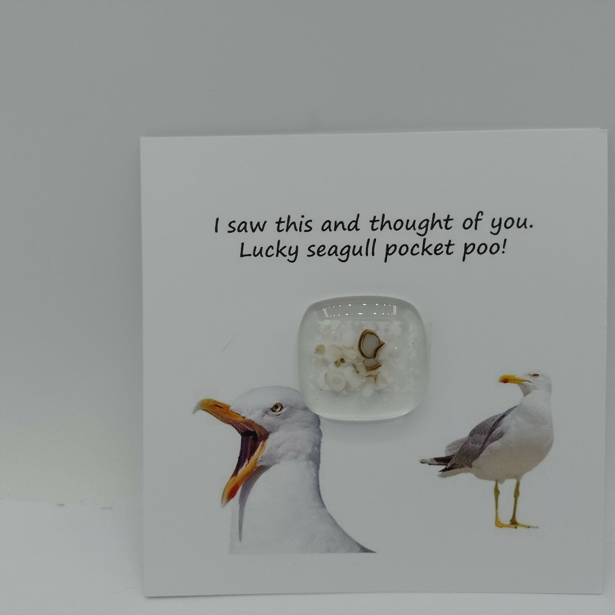 IMG_20250504_182338_952