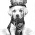 labpup