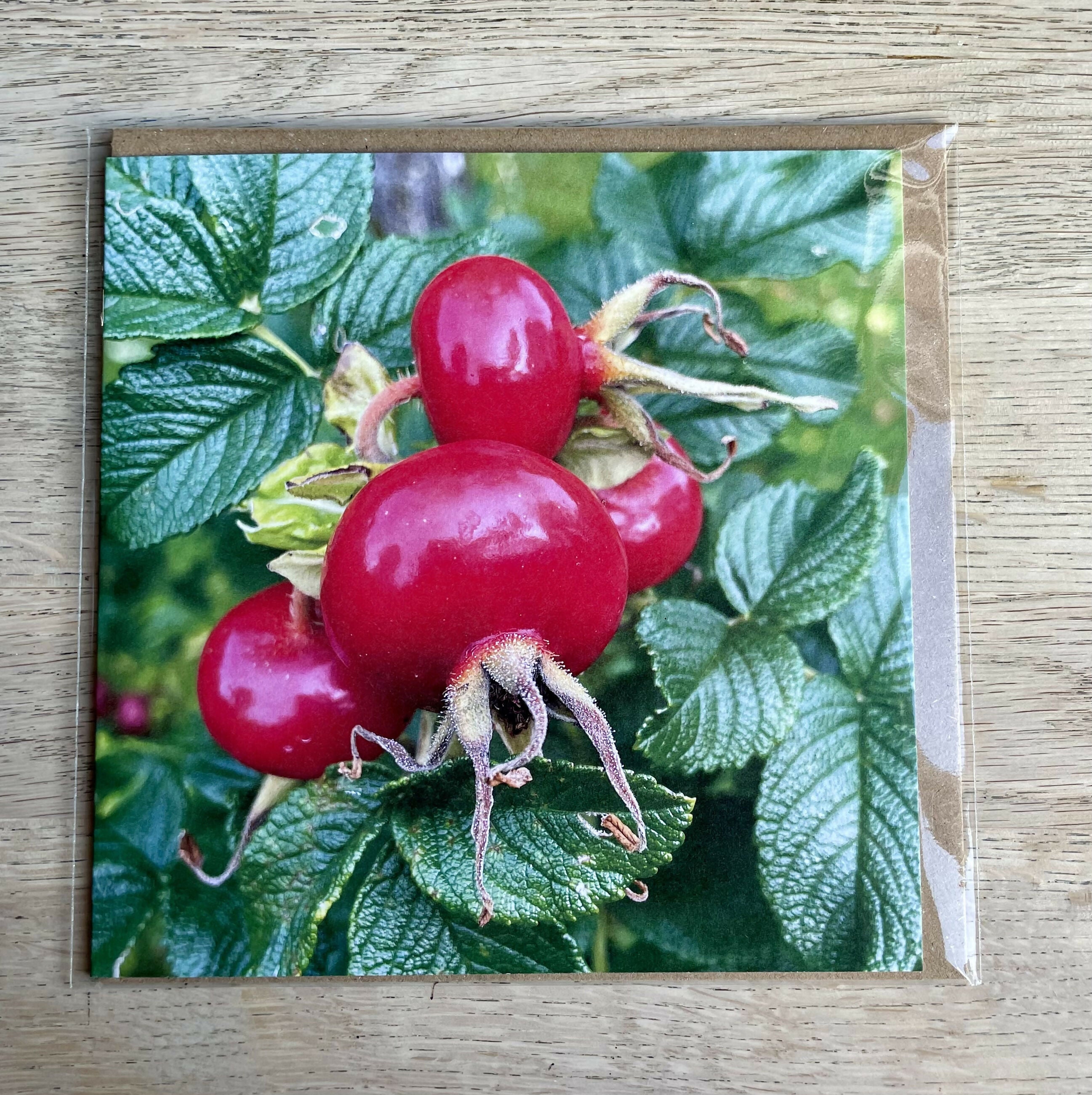 Rosehip – Square Greetings Card