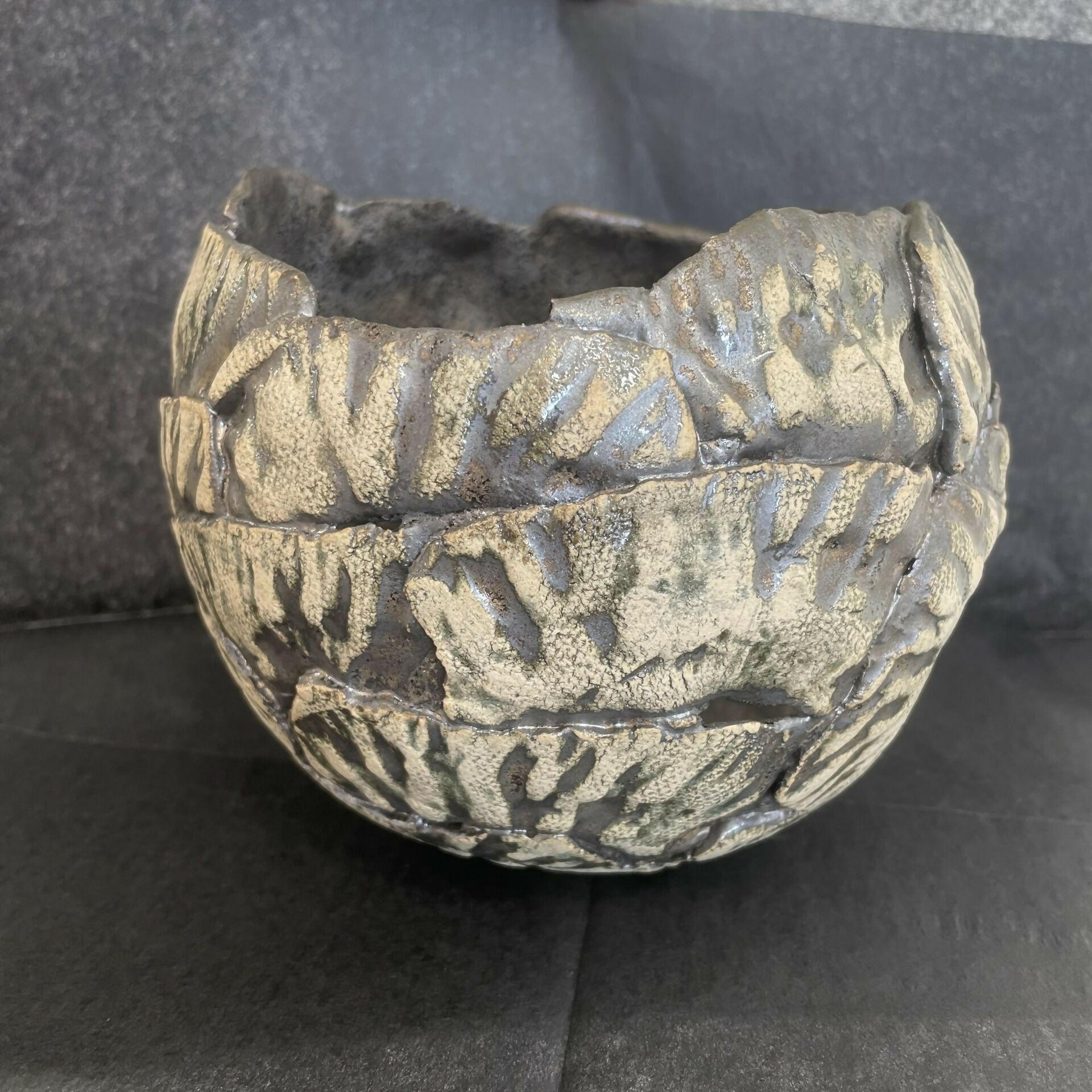 Large Ammonite Bowl