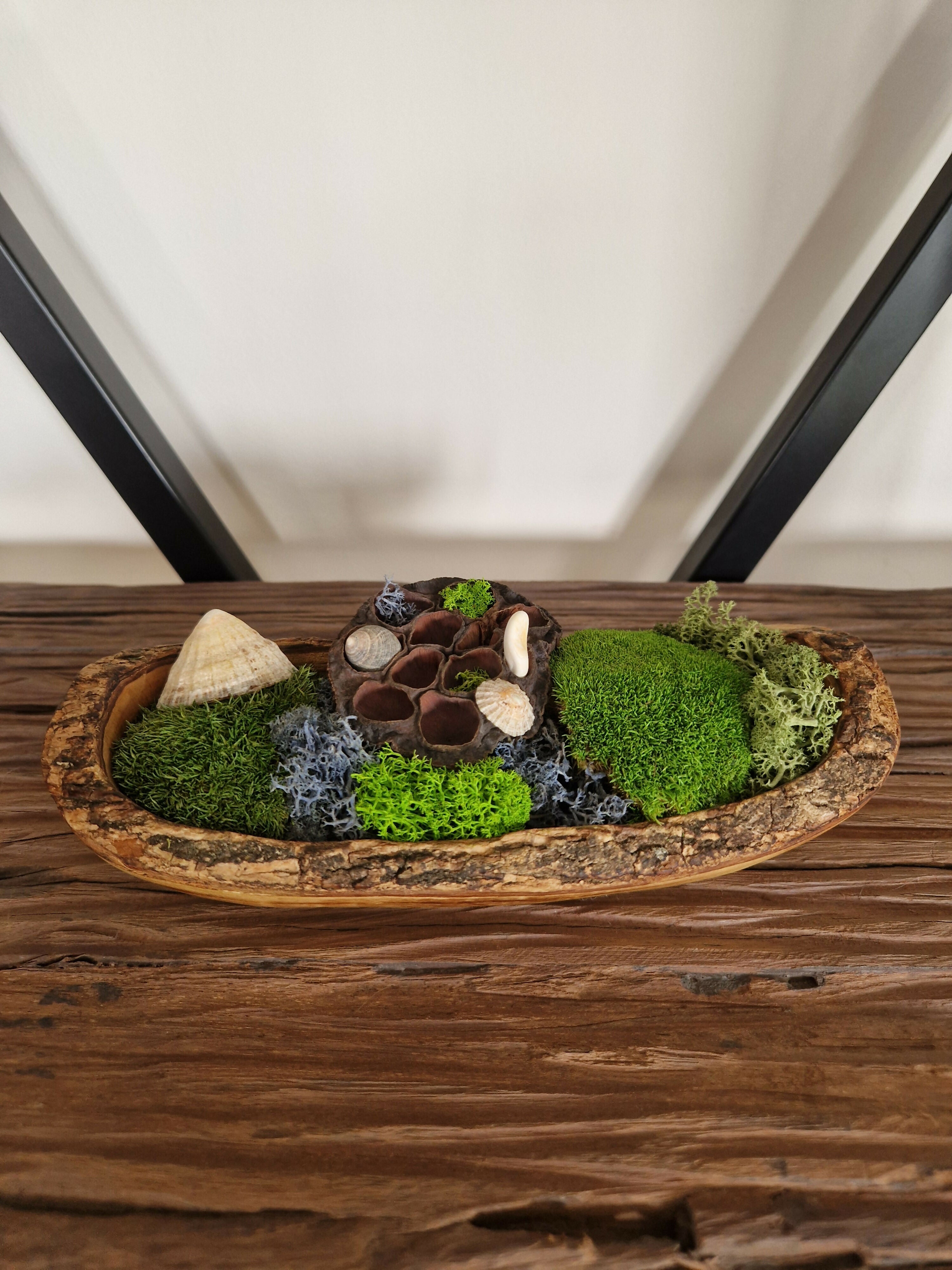Coral Reef Teak Bowl