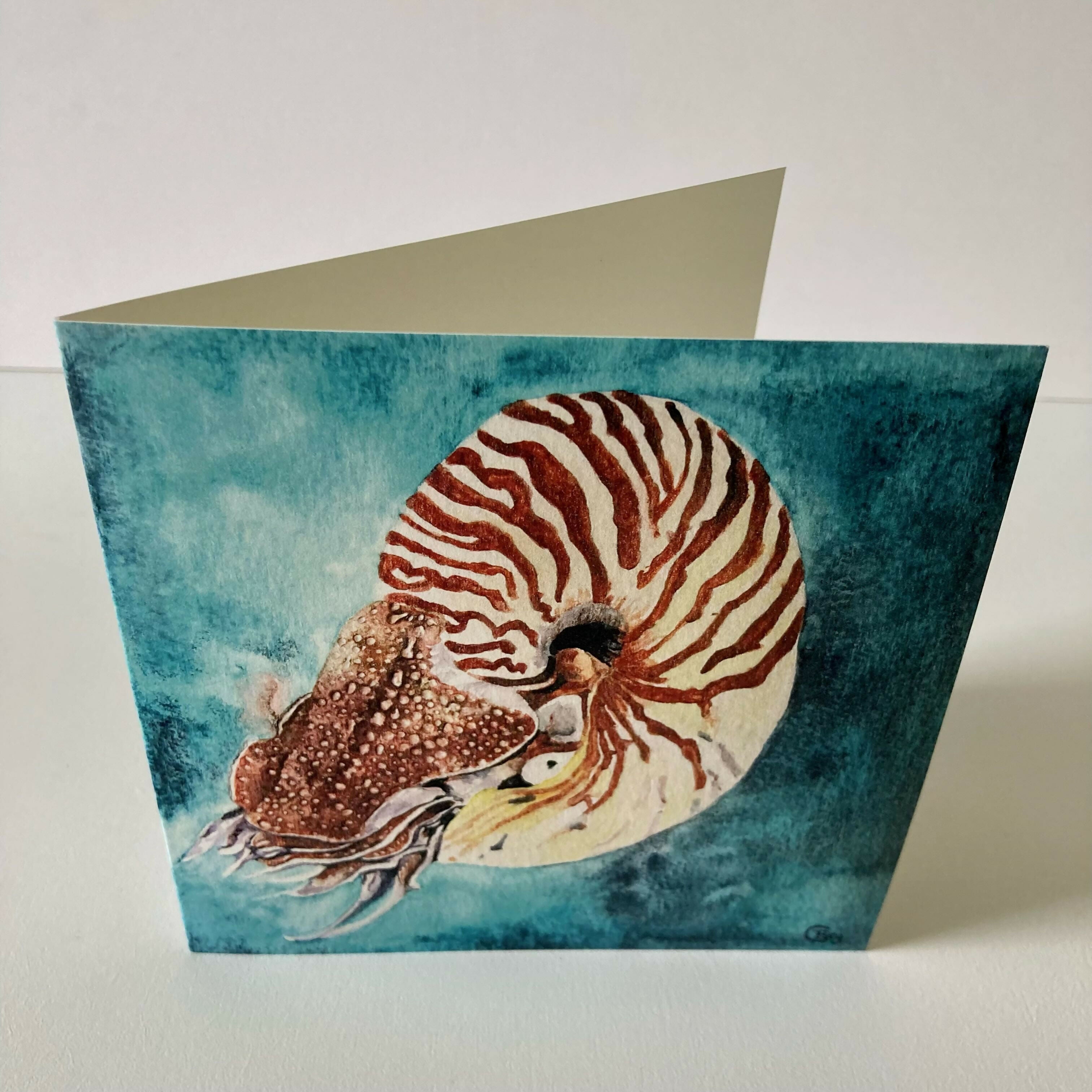 Nautilus - greetings card