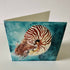 Nautilus - greetings card