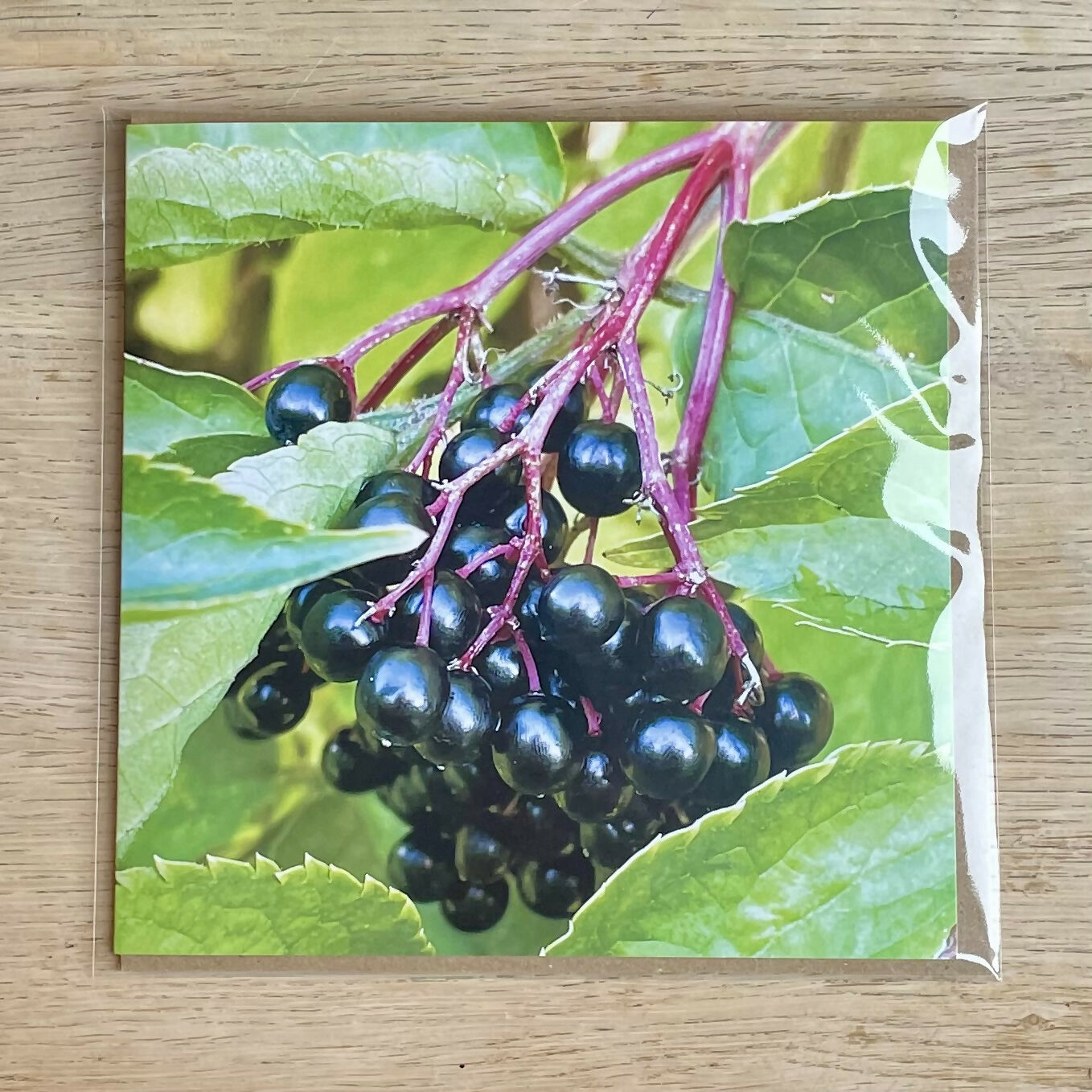 Elderberries – Square Greetings Card