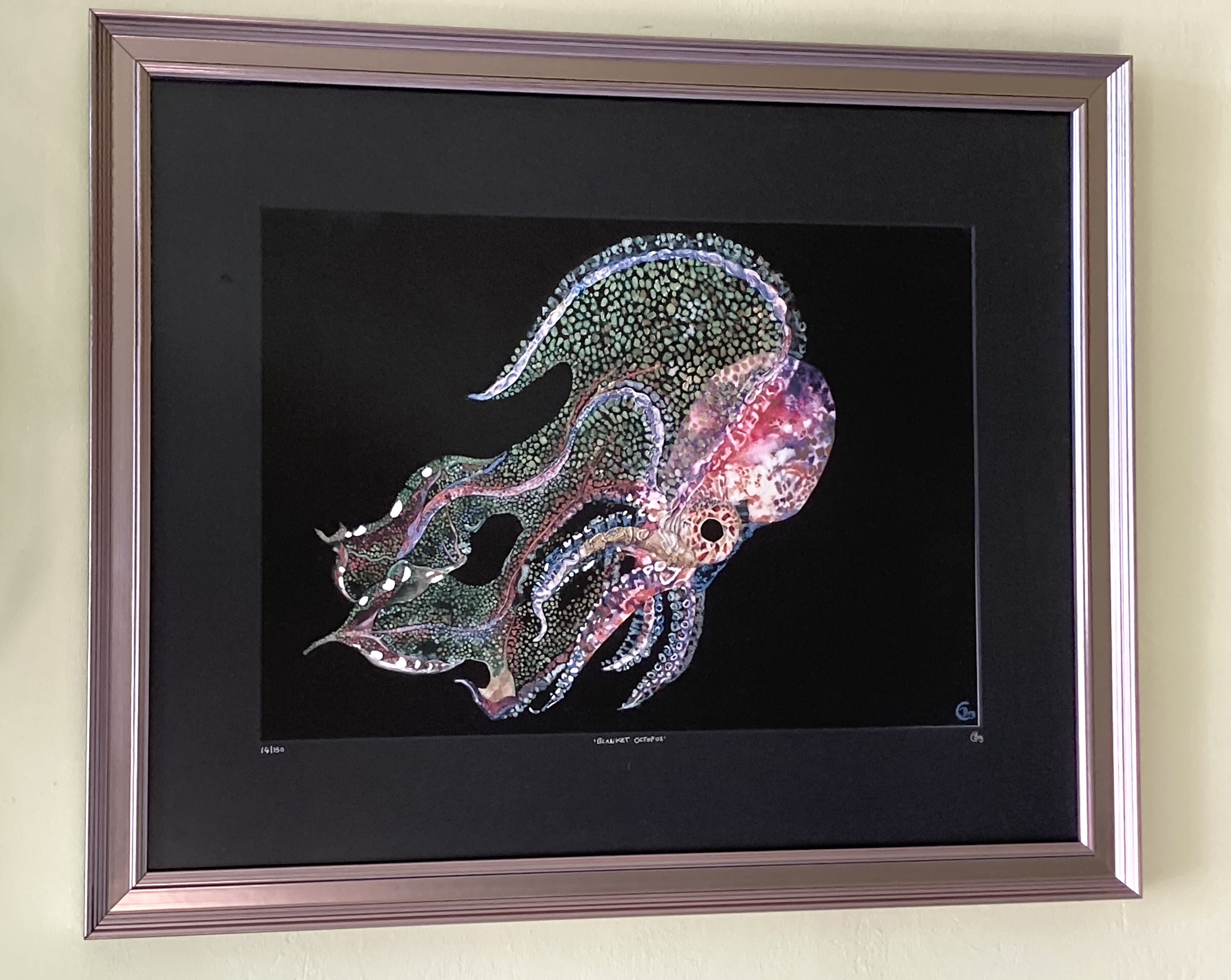 Blanket Octopus - Hand Finished - Print