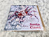 Santa Claws - greetings card