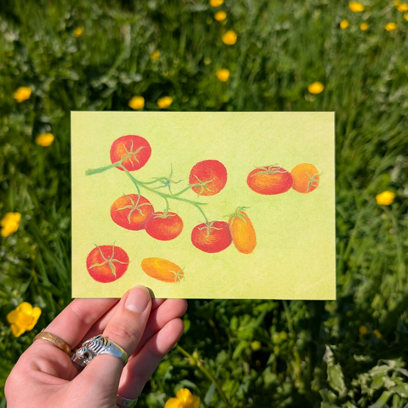 Vine Tomatoes Wax Pastel A6 Print