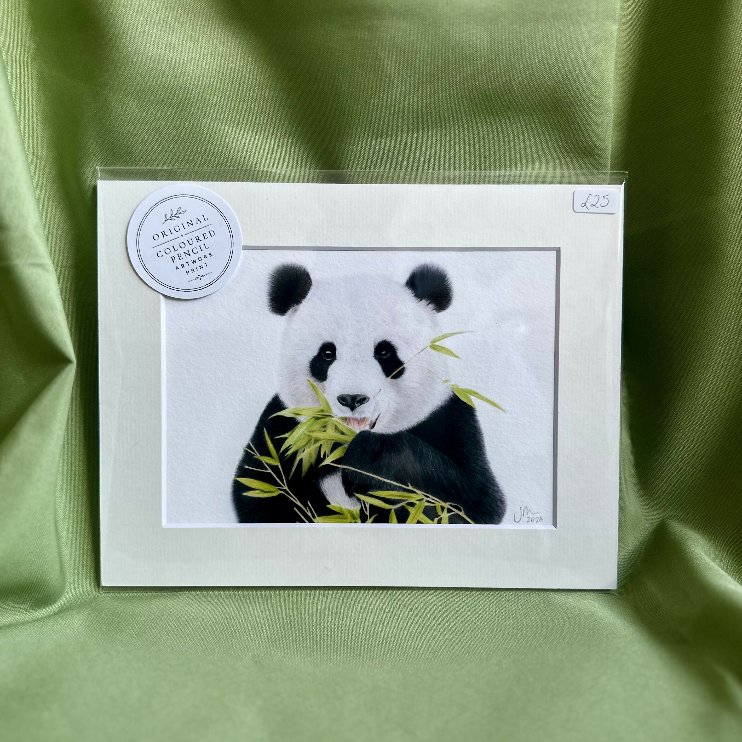 Panda Wall Art | Luxury Velvet Paper Print | Minimal Animal Illustration