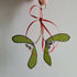 Glass Christmas Decoration Mistletoe