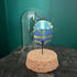 Lovely Glass Dome Featuring A Blue & Green 3D Paper Beetle