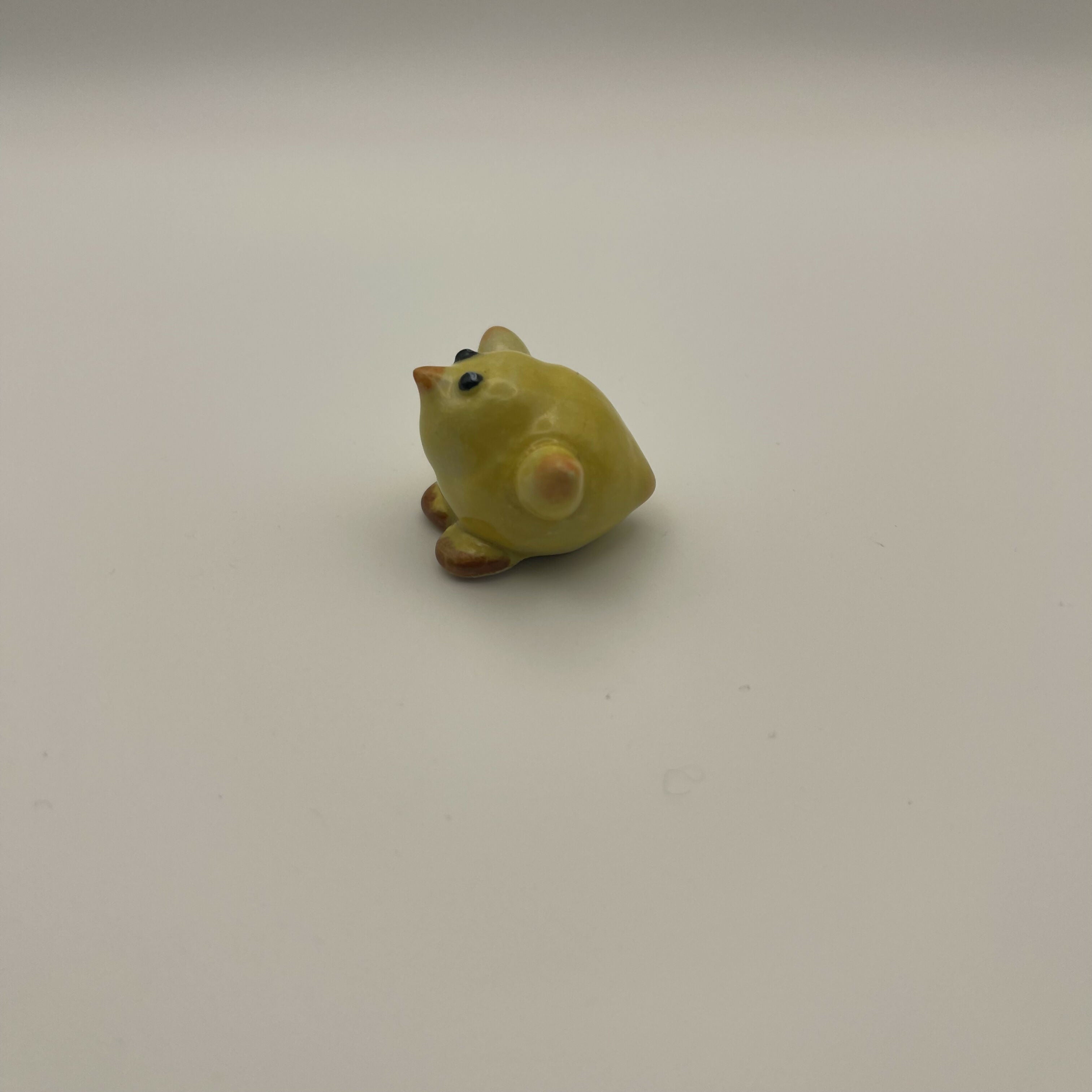 Little Chick