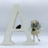 Fairy with the letter A