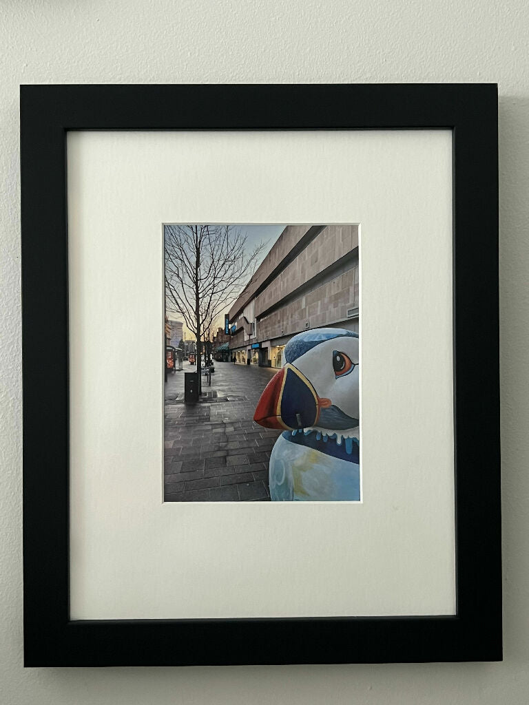 Puffin Freezing In Hull (27x33 frame)