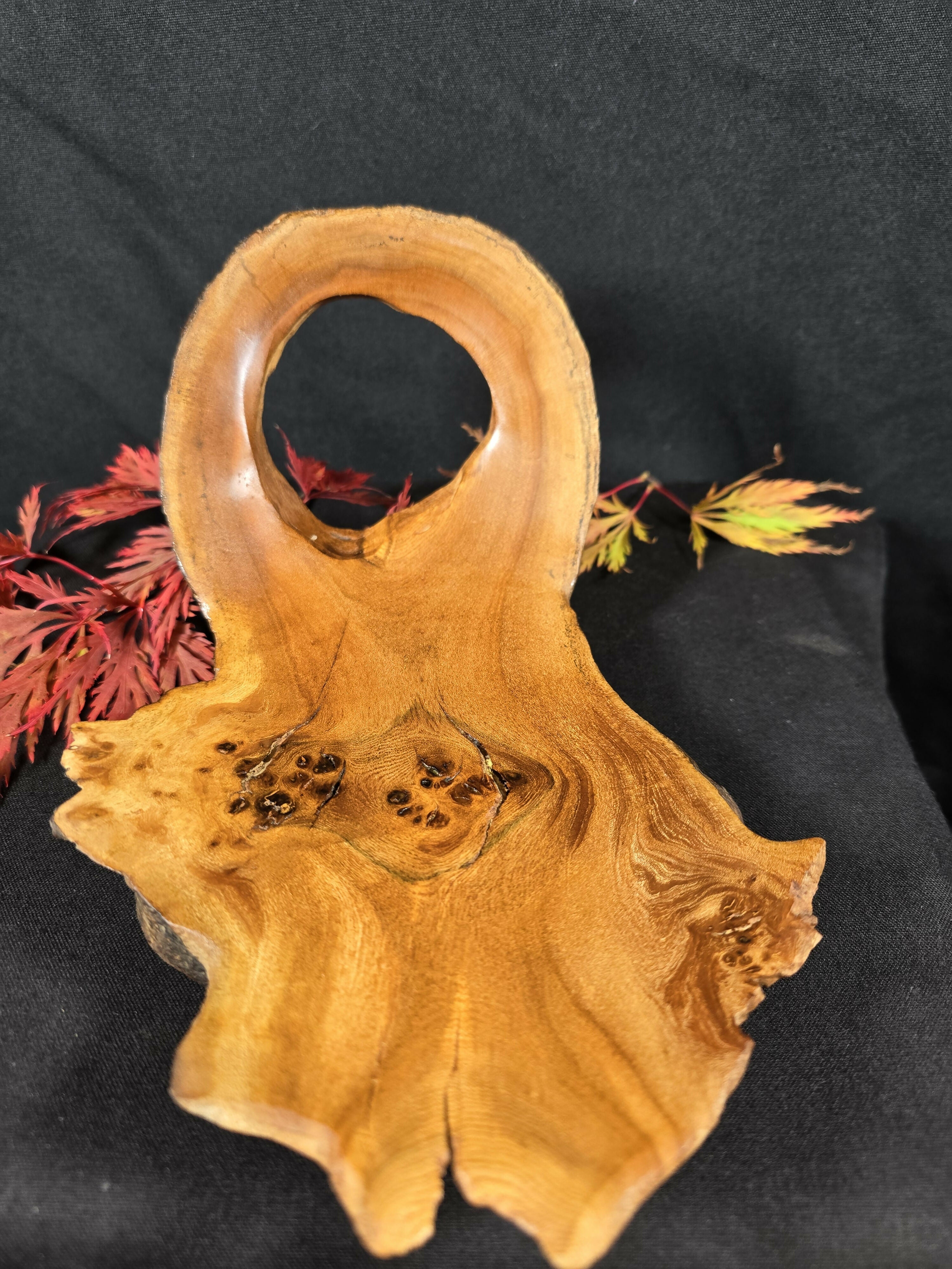 Hand Turned Elm Burr Wood Art
