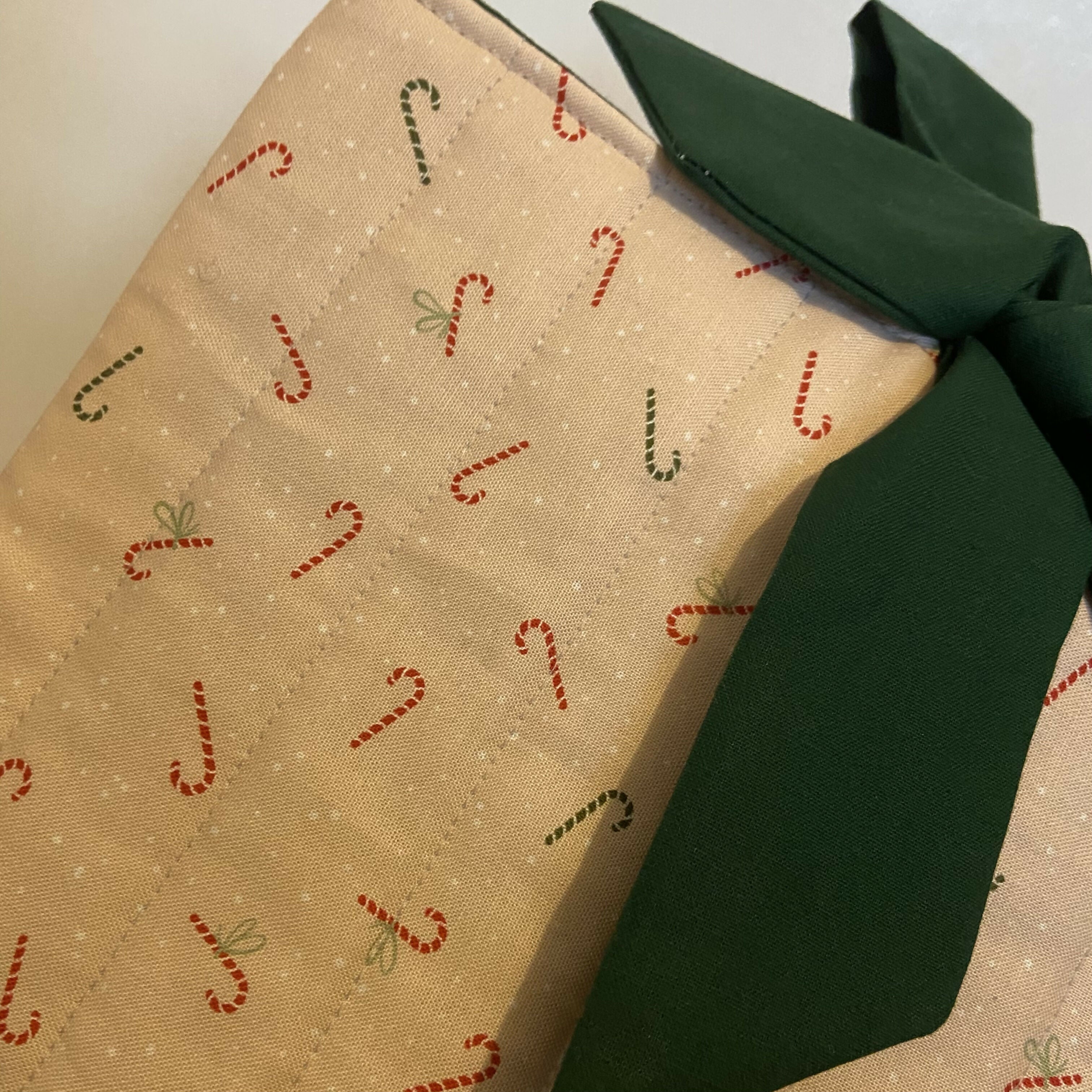 Pink Candy Cane Book Pouch