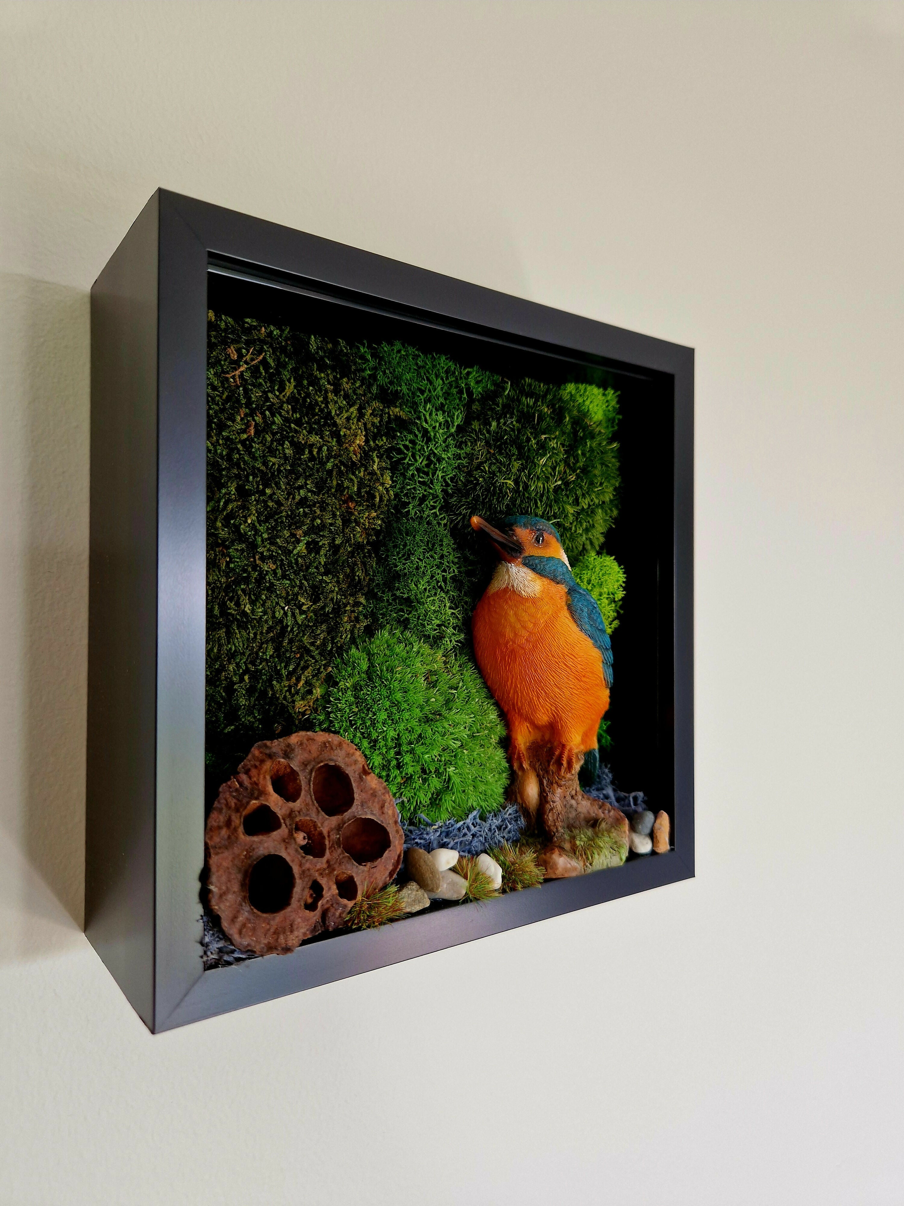 Kingfisher
