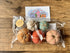 Felted Pumpkin pack
