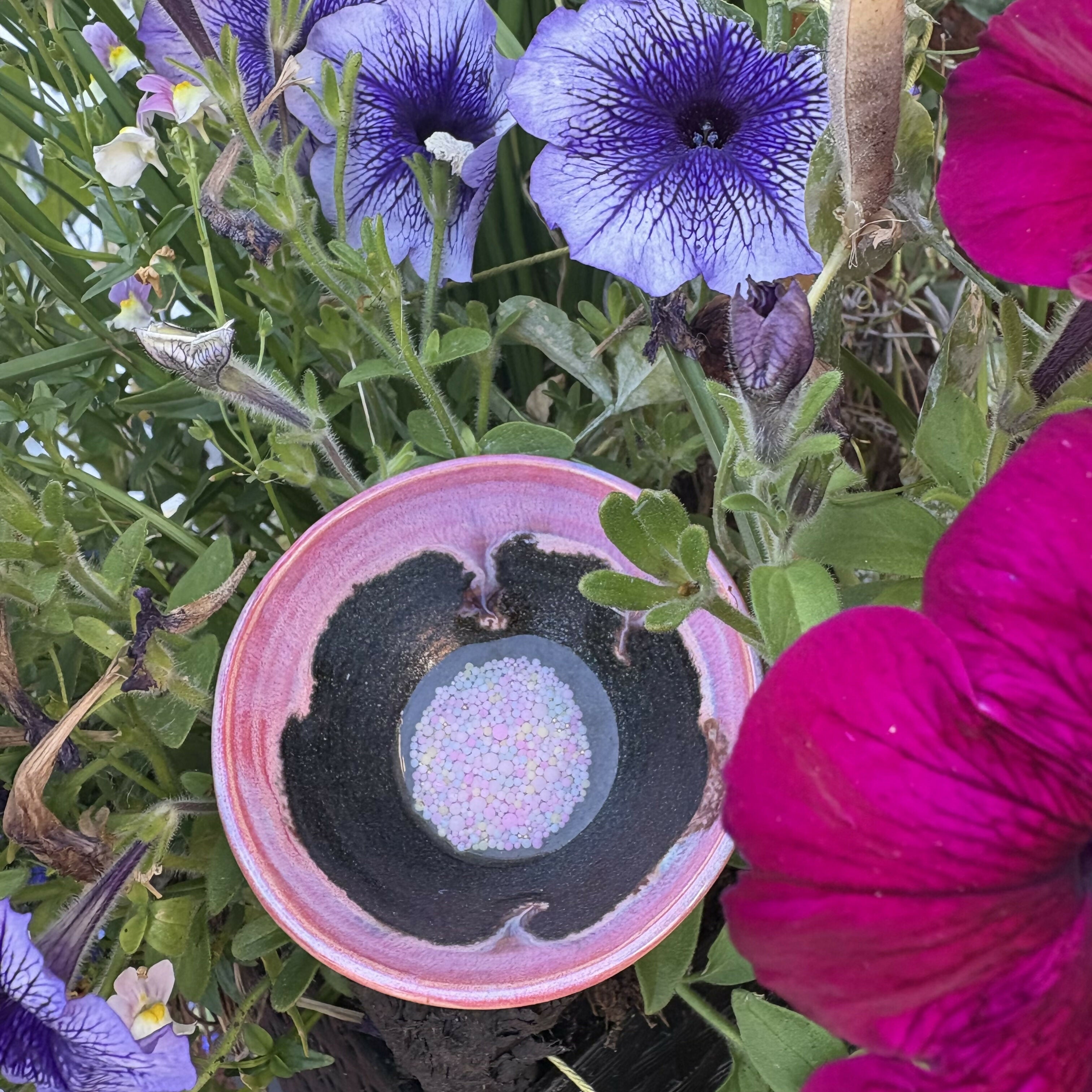 Bubble Bowl