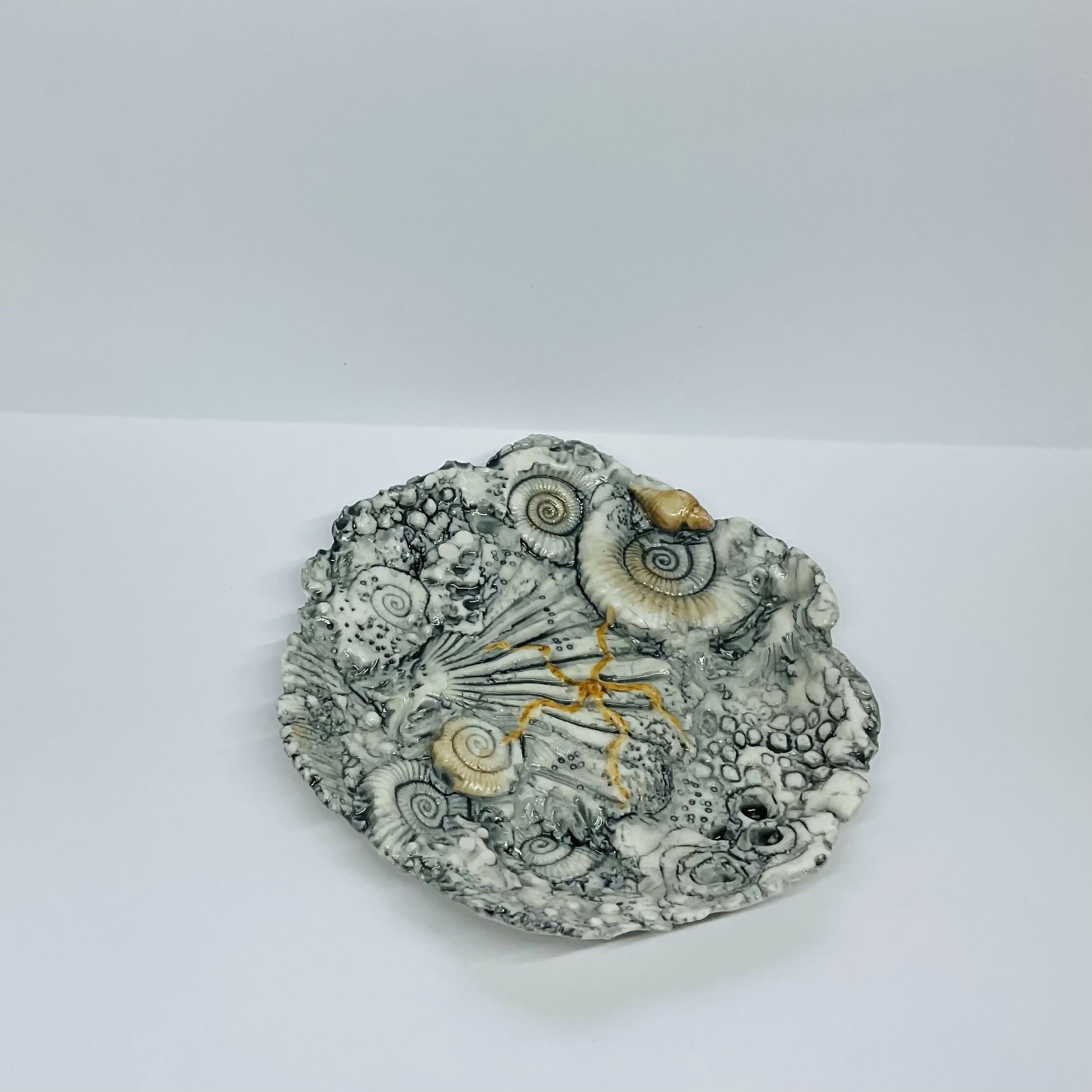 Fossil Dish