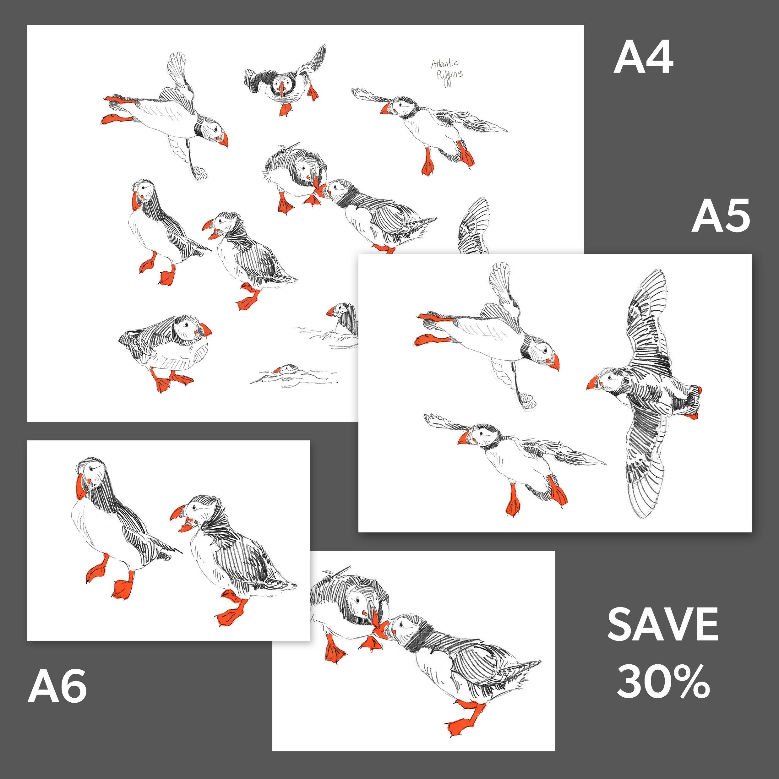 Pack of Puffin Prints - A4, A5, two A6