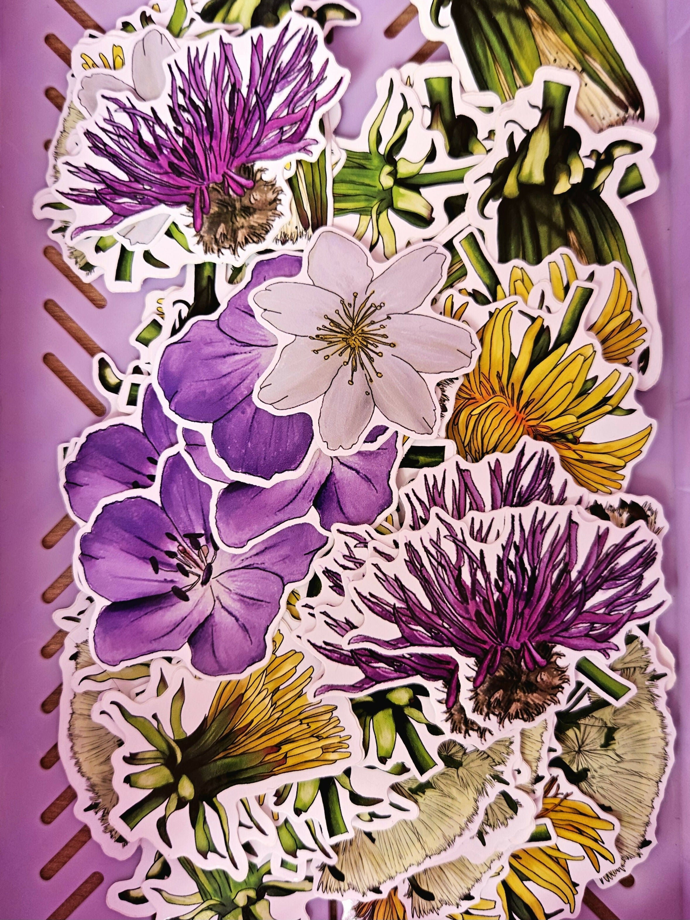 Yorkshire Wildflowers Vinyl Stickers